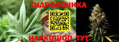 гидра Нарткала