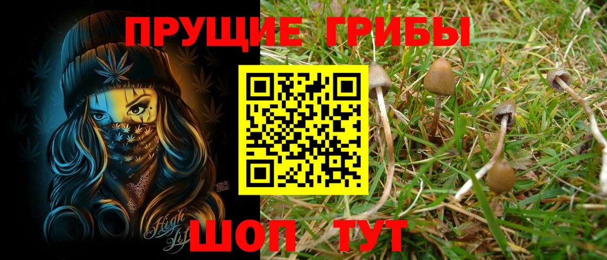 Холмск  Псилоцибиновые грибы Magic Shrooms  Псилоцибиновые грибы Psilocybe  Вход с VPN 